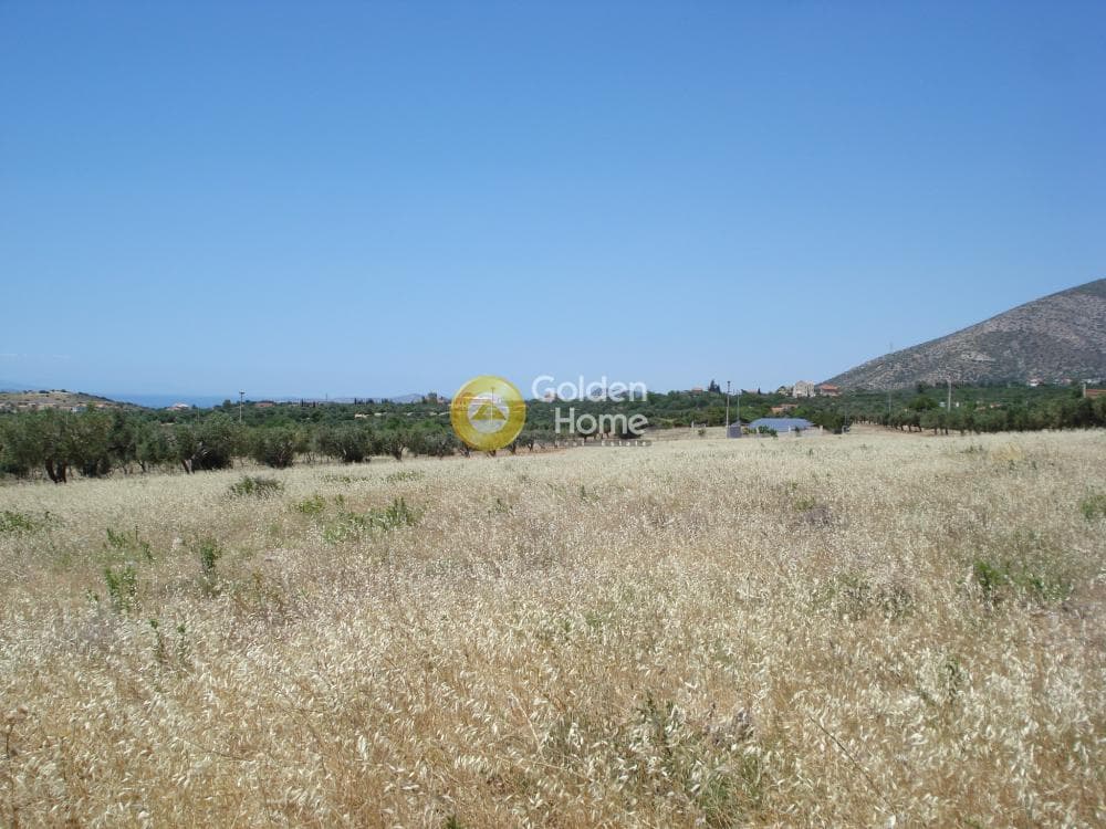Parcel in Kalivia, Kalivia Thorikou — Photo 1 of 10
