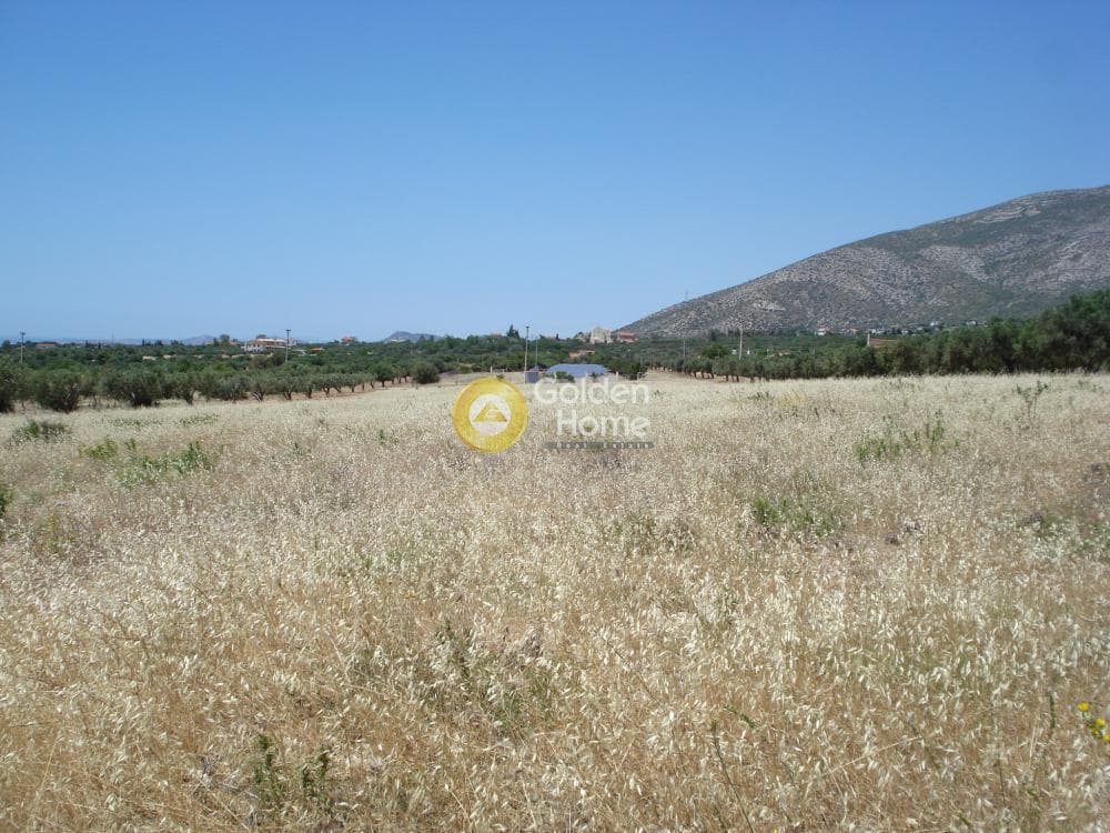 Parcel in Kalivia, Kalivia Thorikou — Photo 5 of 10