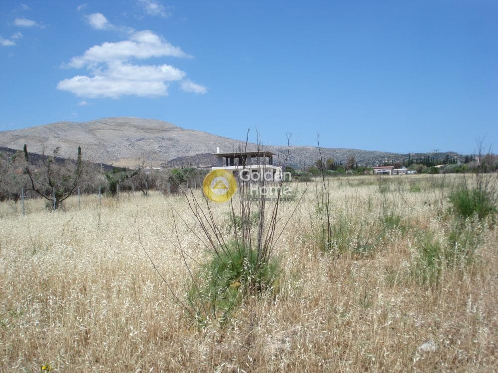 Parcel in Kalivia, Kalivia Thorikou — Photo 6 of 10