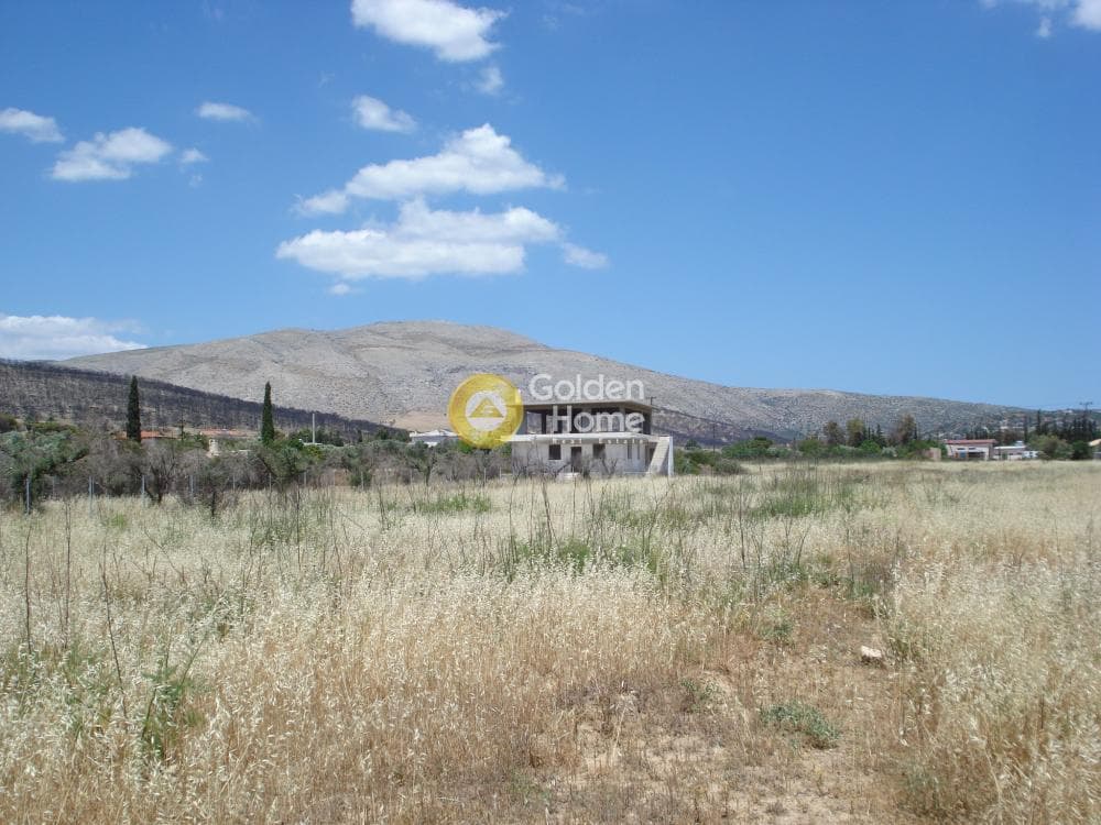 Parcel in Kalivia, Kalivia Thorikou — Photo 9 of 10
