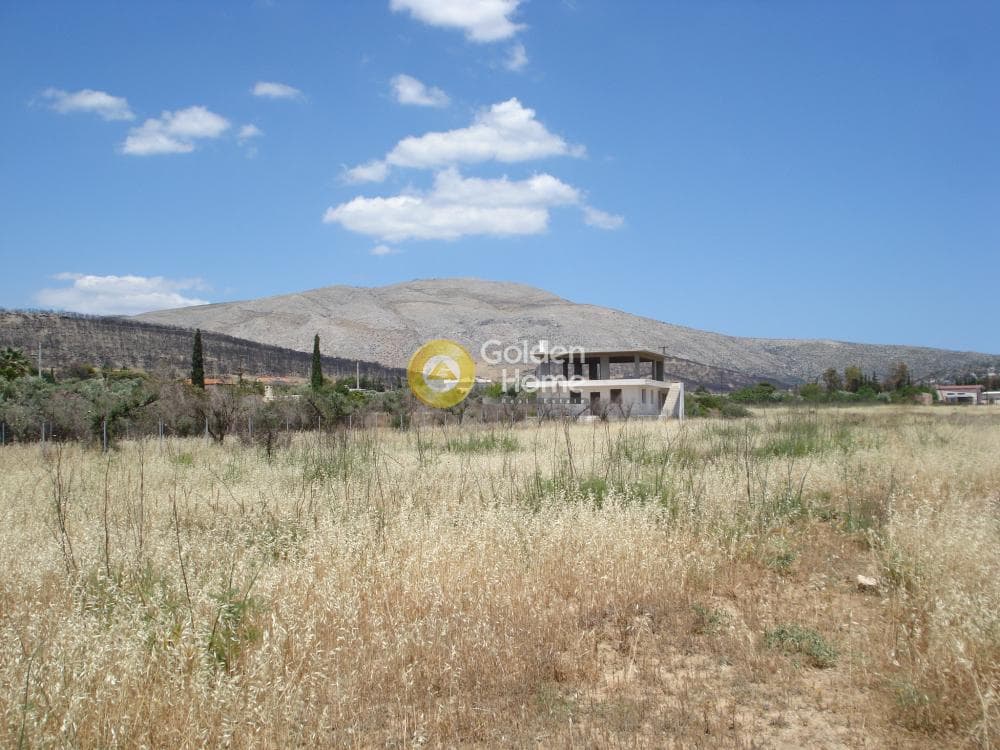 Parcel in Kalivia, Kalivia Thorikou — Photo 8 of 10