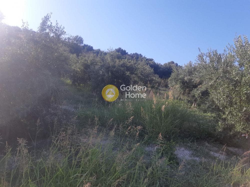 Parcel in Athanatoi, Temenos — Photo 1 of 4