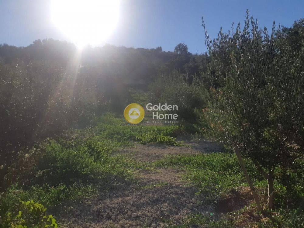 Parcel in Athanatoi, Temenos — Photo 2 of 4