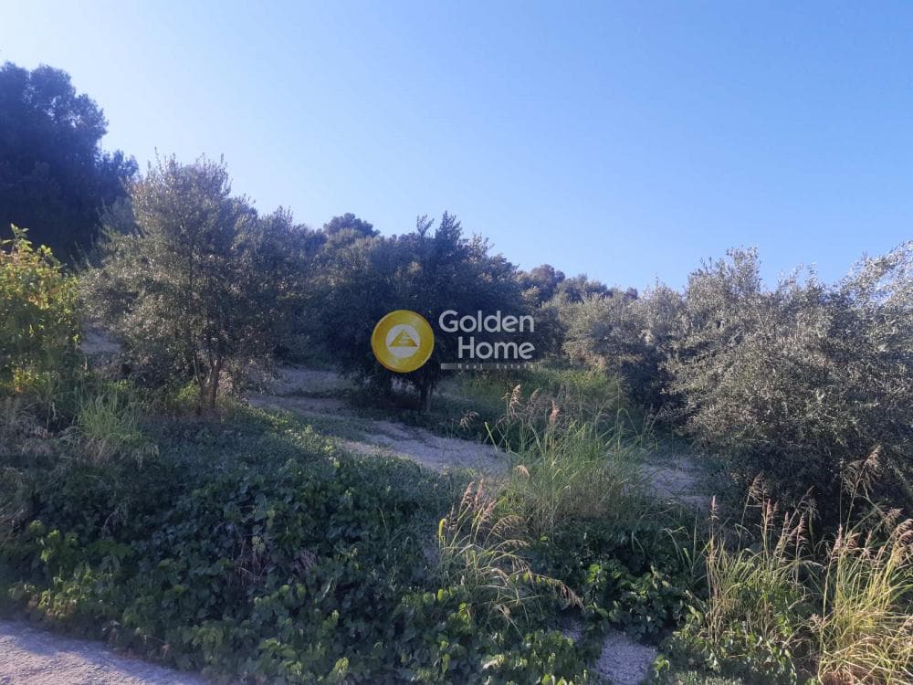 Parcel in Athanatoi, Temenos — Photo 3 of 4