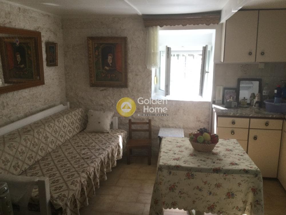 Μονοκατοικία στην Φίλυρο, Πεύκα — Φωτογραφία 11 από 24