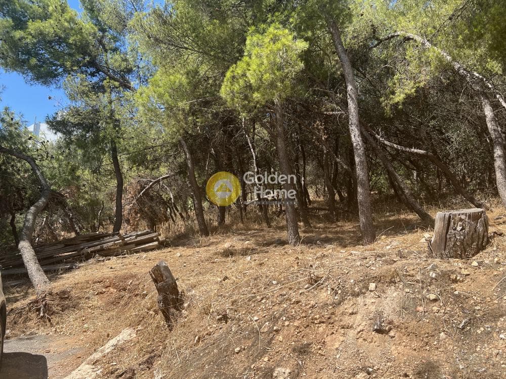 Οικόπεδο στην Κέντρο, Πετρούπολη — Φωτογραφία 2 από 3