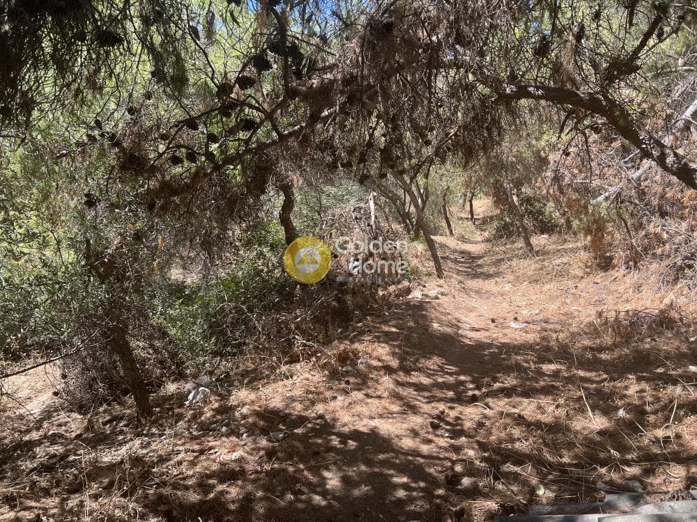 Οικόπεδο στην Κέντρο, Πετρούπολη — Φωτογραφία 3 από 3