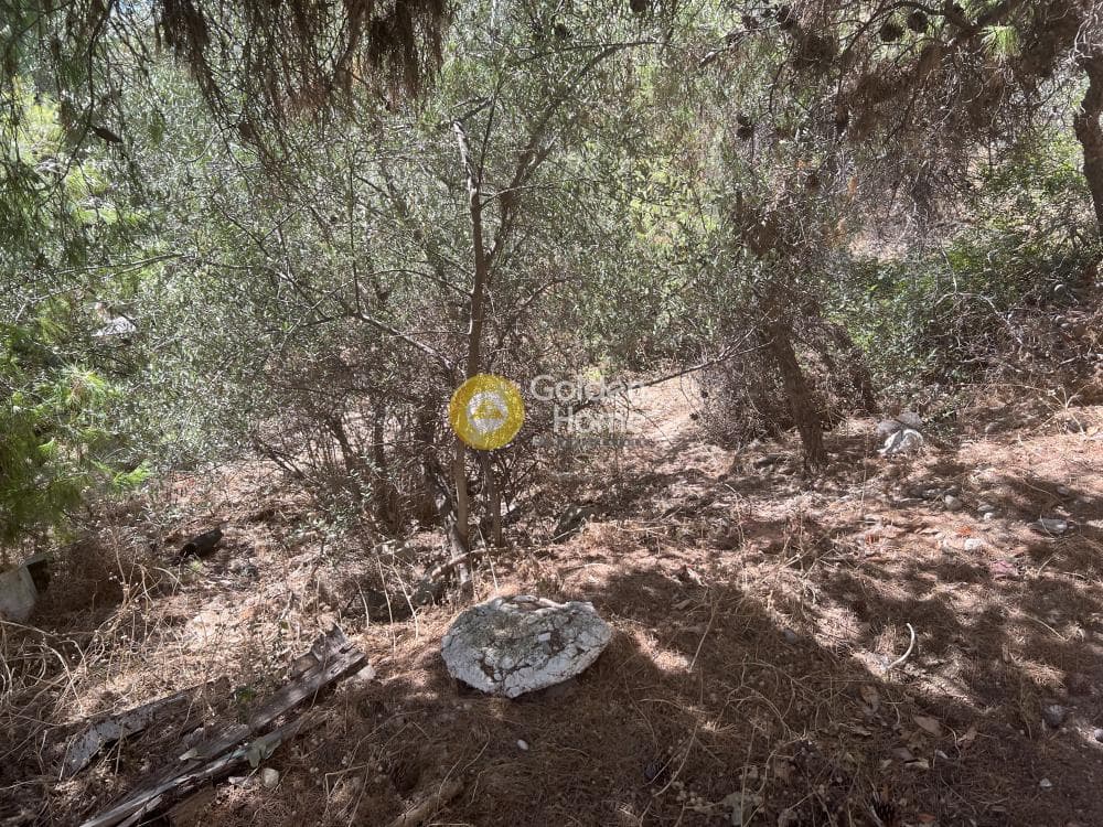 Οικόπεδο στην Κέντρο, Πετρούπολη — Φωτογραφία 1 από 3