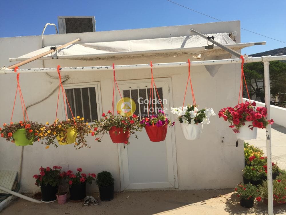 Μονοκατοικία στην Ποσειδωνία, Σύρος — Φωτογραφία 3 από 30