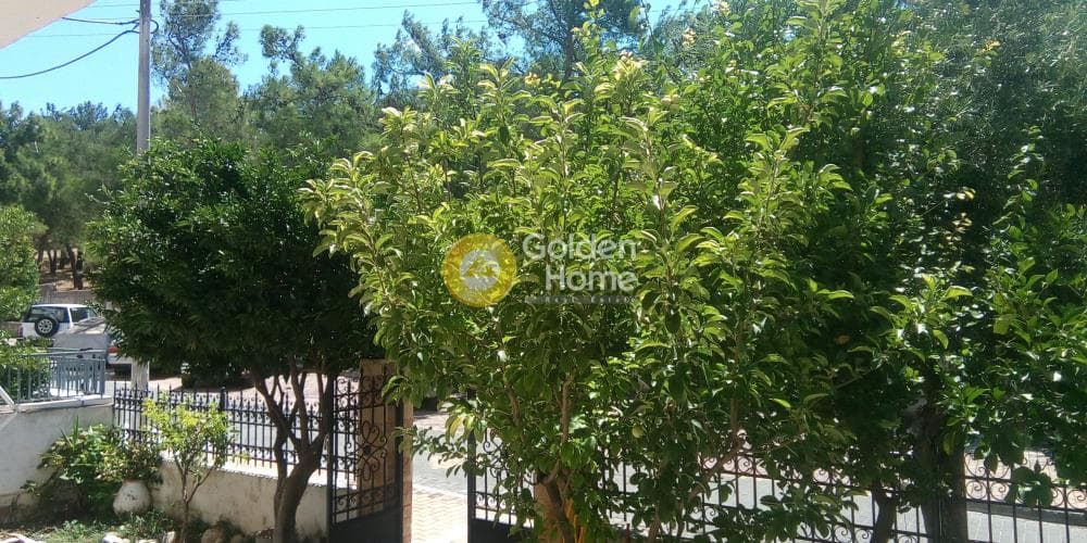 Apartment in Zoodochos Pigi, Vironas — Photo 1 of 10