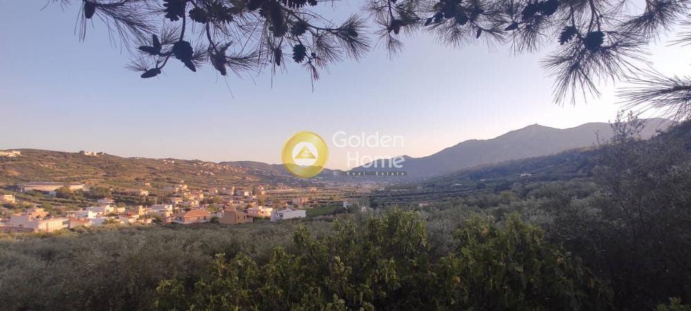 Οικόπεδο στην Κάτω Αρχάνες, Αρχάνες — Φωτογραφία 5 από 15