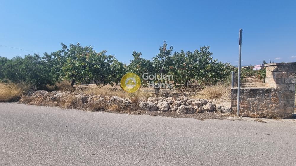 Building Plot in Kipseli, Aegina — Photo 1 of 4