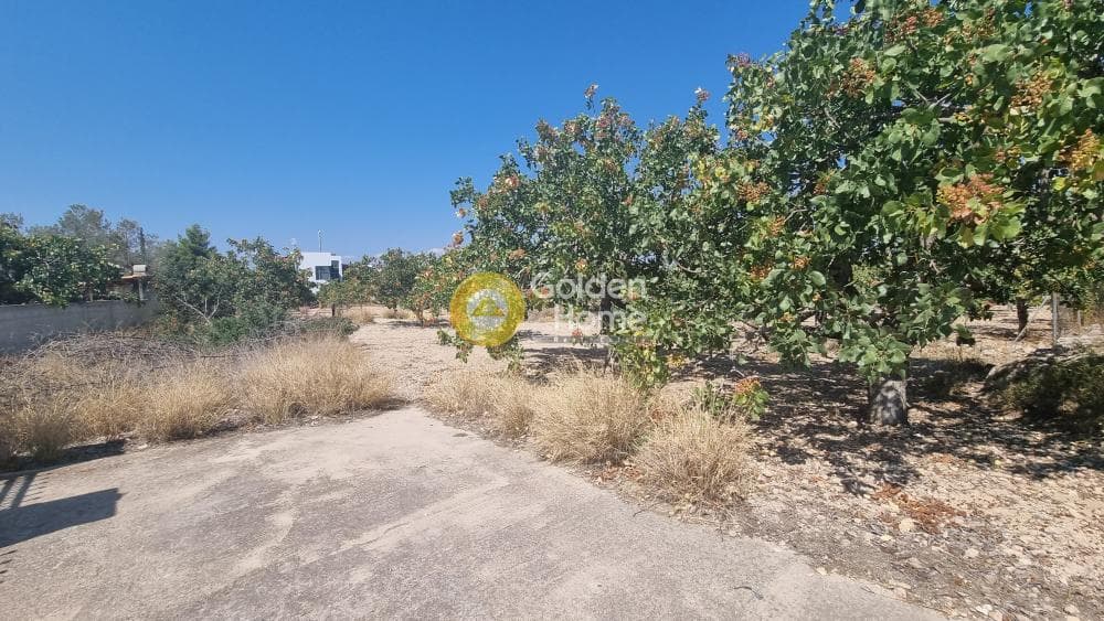 Building Plot in Kipseli, Aegina — Photo 2 of 4