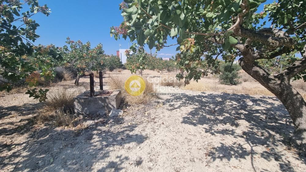 Building Plot in Kipseli, Aegina — Photo 3 of 4