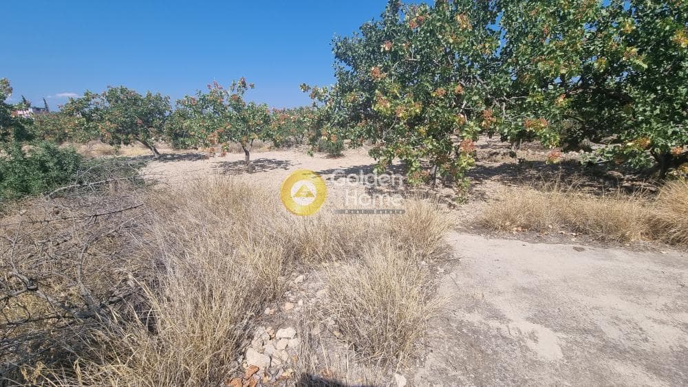 Building Plot in Kipseli, Aegina — Photo 4 of 4