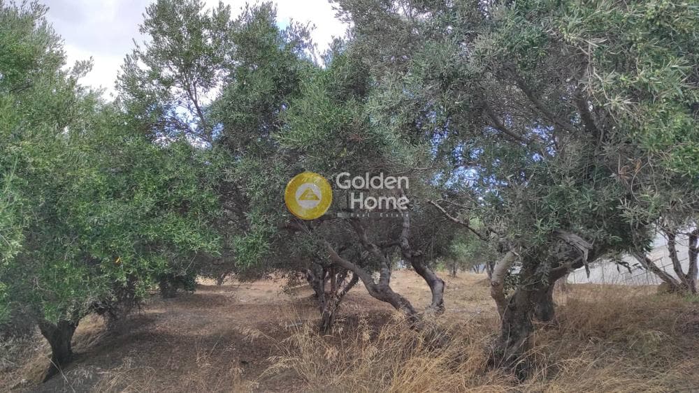 Οικόπεδο στην Άγιος Βλάσιος, Αρχάνες — Φωτογραφία 10 από 10