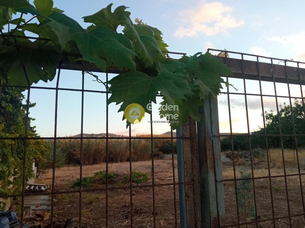 Οικόπεδο στην Χάνι Κοκκίνη, Γούβες — Φωτογραφία 2 από 10