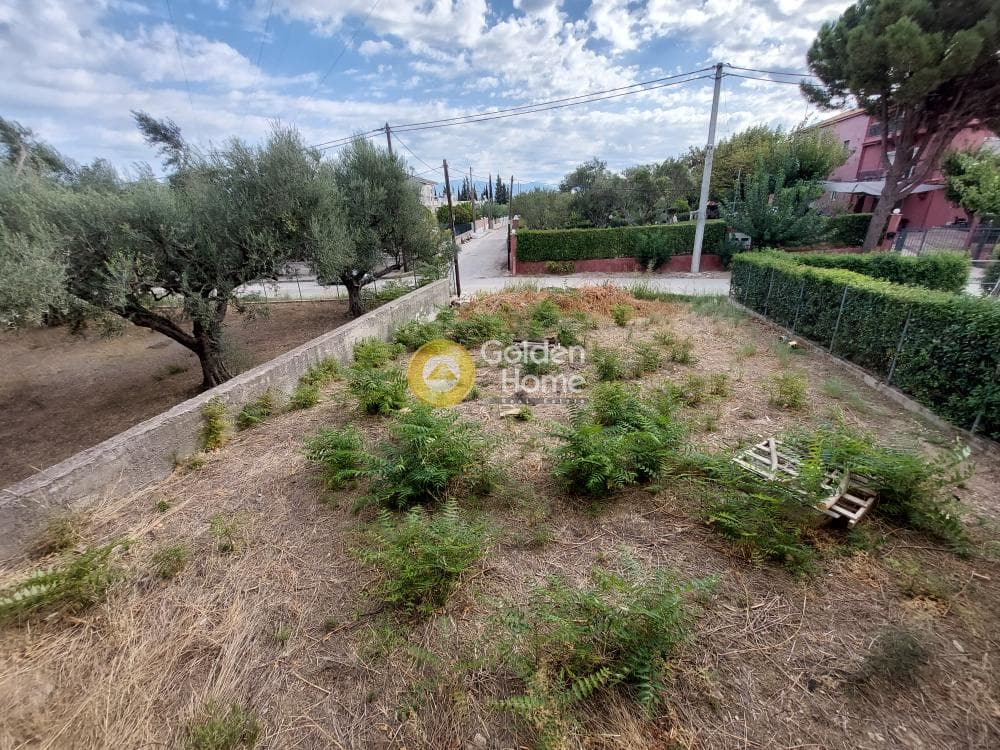 House in Agios Andreas, Patra — Photo 25 of 25