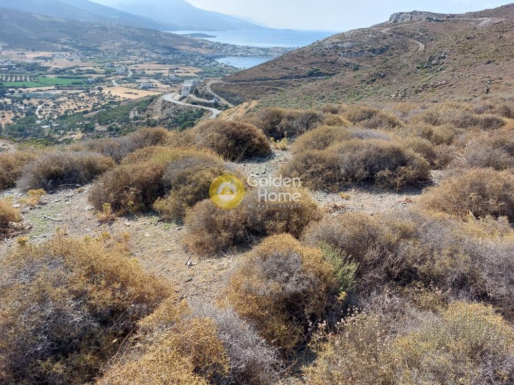 Αγροτεμάχιο στην Γαύριο, Άνδρος — Φωτογραφία 3 από 5