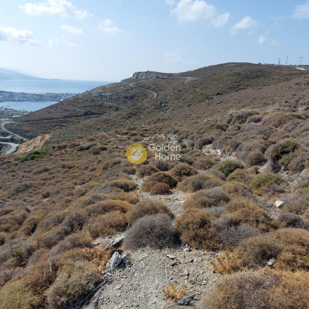 Αγροτεμάχιο στην Γαύριο, Άνδρος — Φωτογραφία 5 από 5