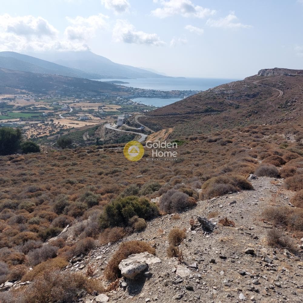 Αγροτεμάχιο στην Γαύριο, Άνδρος — Φωτογραφία 2 από 2