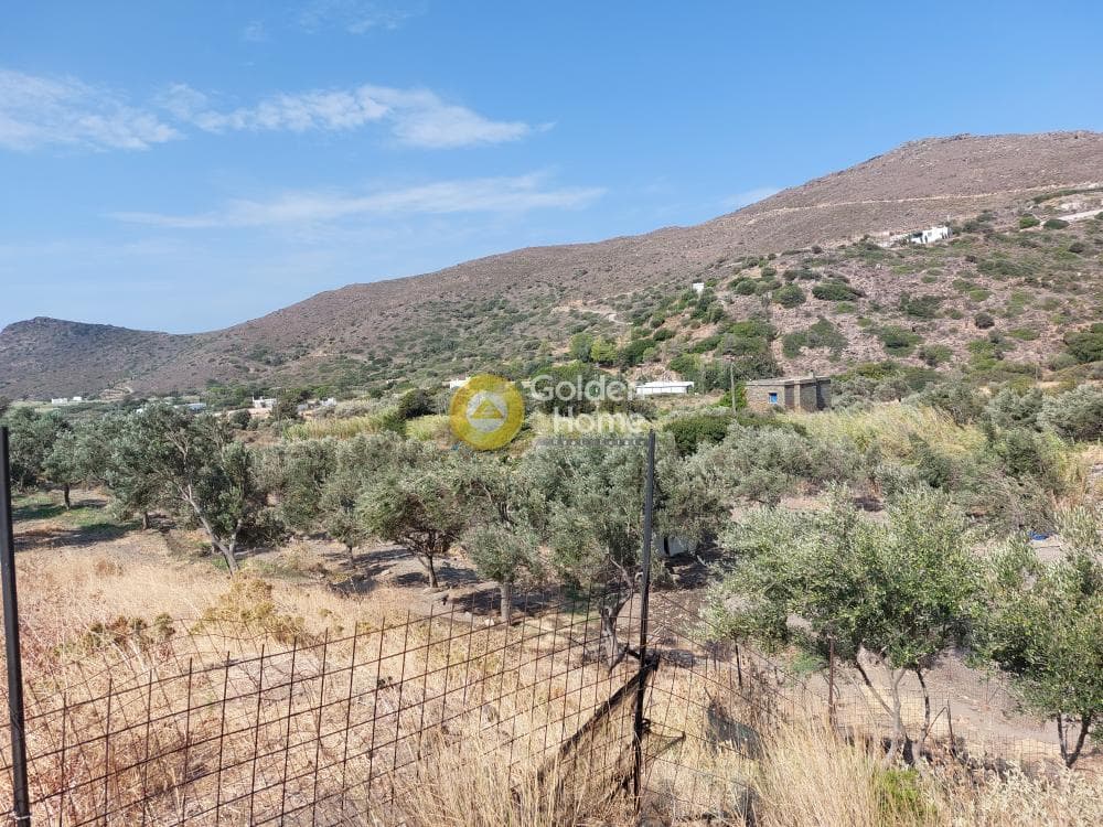 Αγροτεμάχιο στην Κάτω Φελλός, Άνδρος — Φωτογραφία 3 από 10