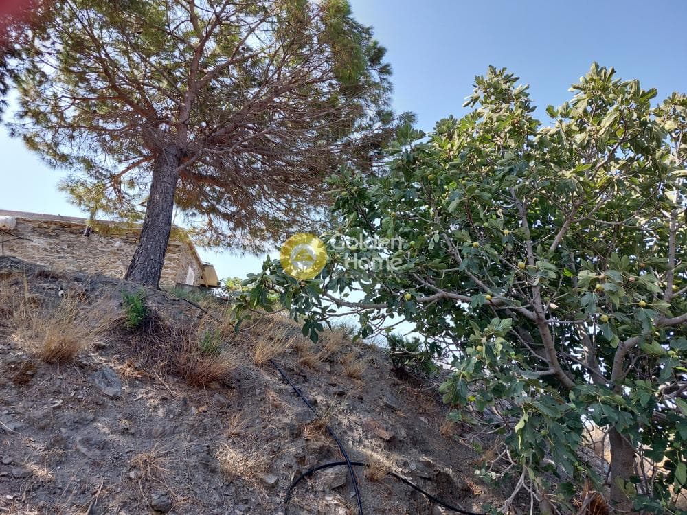 Αγροτεμάχιο στην Κάτω Φελλός, Άνδρος — Φωτογραφία 4 από 10