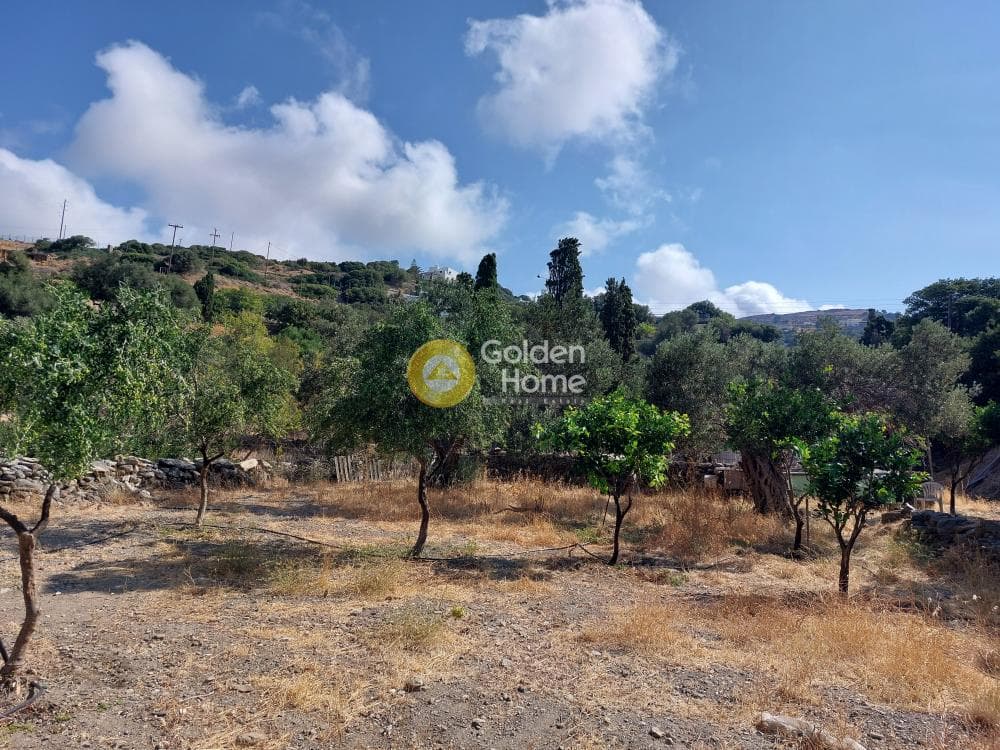 Αγροτεμάχιο στην Κάτω Φελλός, Άνδρος — Φωτογραφία 5 από 10