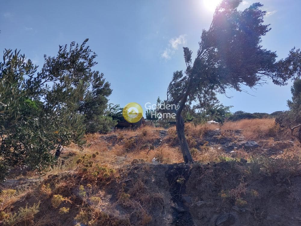 Αγροτεμάχιο στην Κάτω Φελλός, Άνδρος — Φωτογραφία 10 από 10