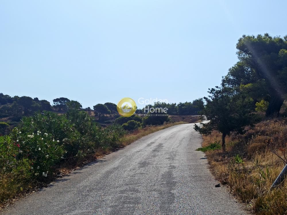 Αγροτεμάχιο στην Βορινέζα, Αρτέμιδα (Λούτσα) — Φωτογραφία 10 από 14
