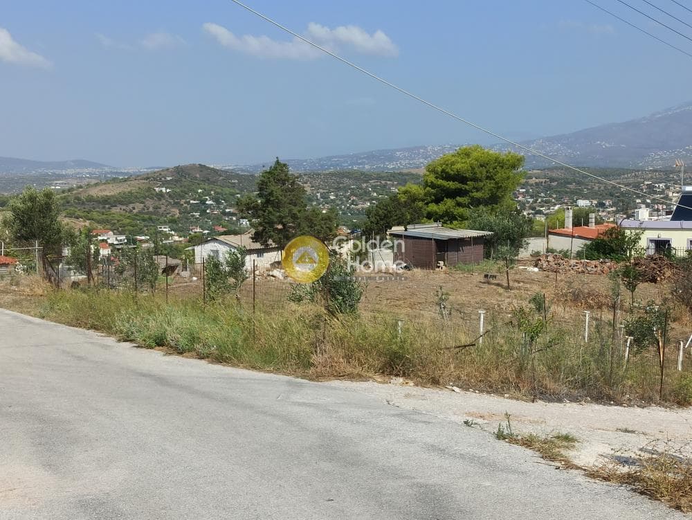 Αγροτεμάχιο στην Βορινέζα, Αρτέμιδα (Λούτσα) — Φωτογραφία 11 από 14