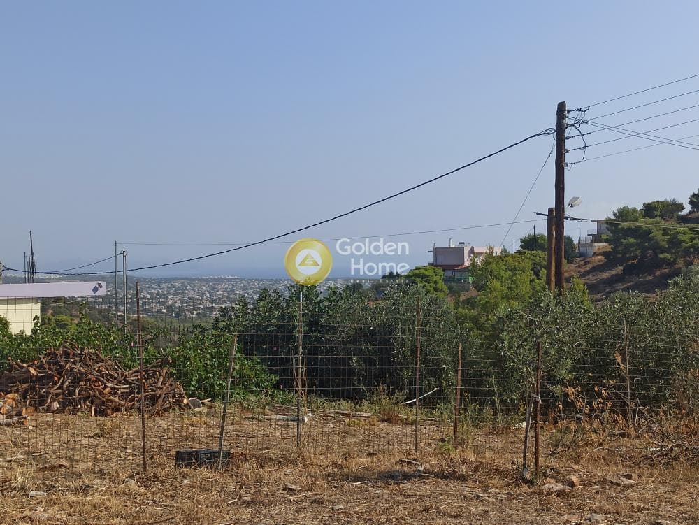 Αγροτεμάχιο στην Βορινέζα, Αρτέμιδα (Λούτσα) — Φωτογραφία 9 από 14