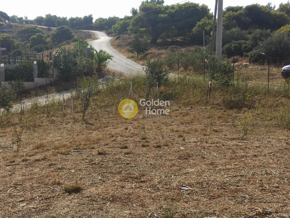 Αγροτεμάχιο στην Βορινέζα, Αρτέμιδα (Λούτσα) — Φωτογραφία 8 από 14