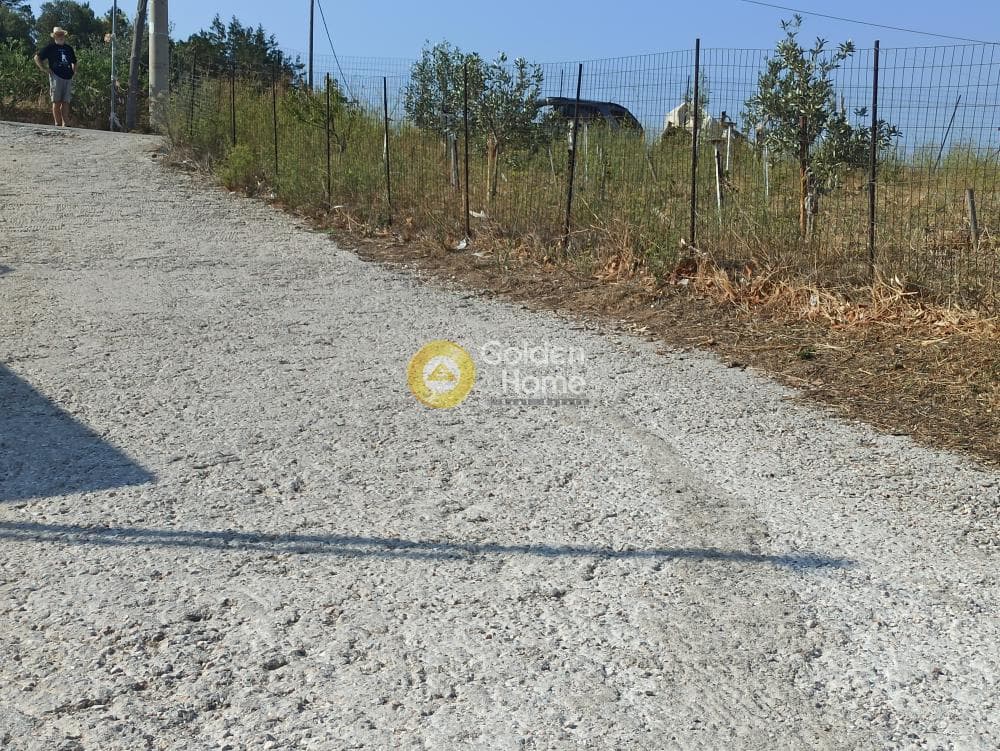 Αγροτεμάχιο στην Βορινέζα, Αρτέμιδα (Λούτσα) — Φωτογραφία 12 από 14