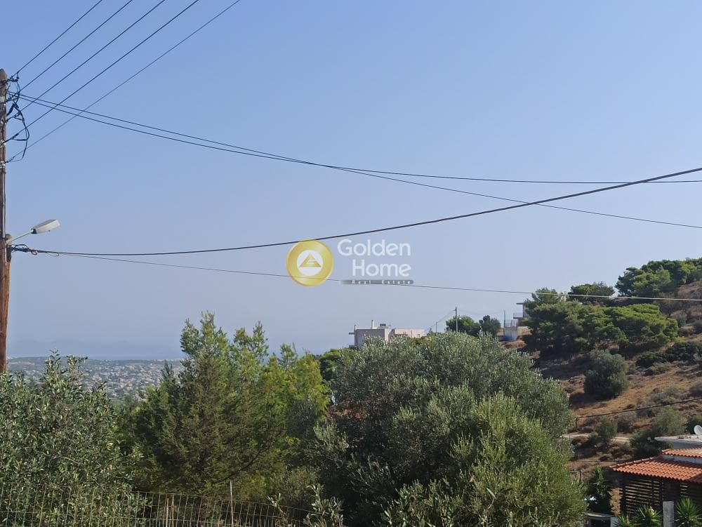 Αγροτεμάχιο στην Βορινέζα, Αρτέμιδα (Λούτσα) — Φωτογραφία 1 από 14