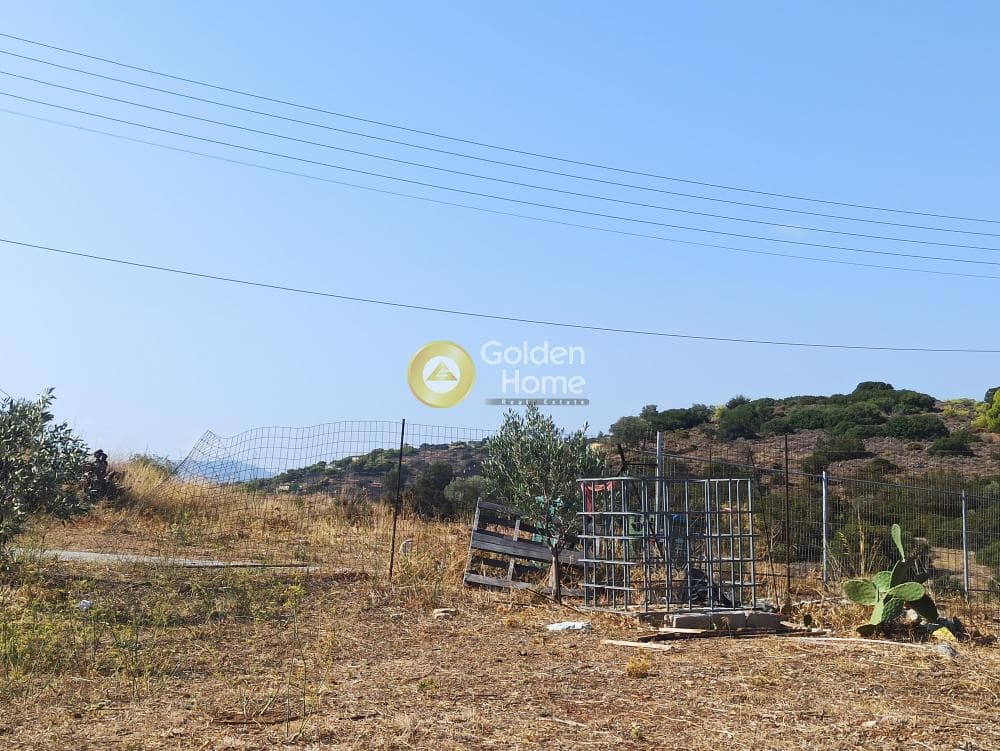 Αγροτεμάχιο στην Βορινέζα, Αρτέμιδα (Λούτσα) — Φωτογραφία 4 από 14