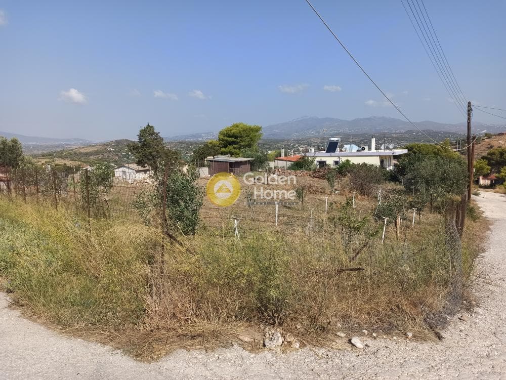 Αγροτεμάχιο στην Βορινέζα, Αρτέμιδα (Λούτσα) — Φωτογραφία 3 από 14