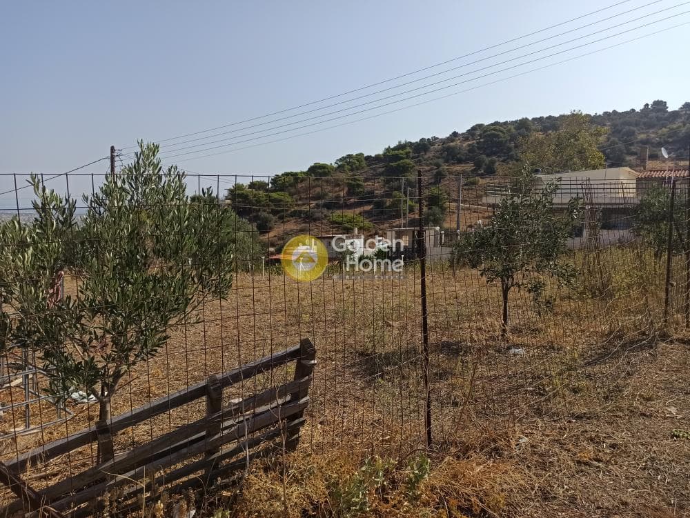 Αγροτεμάχιο στην Βορινέζα, Αρτέμιδα (Λούτσα) — Φωτογραφία 7 από 14