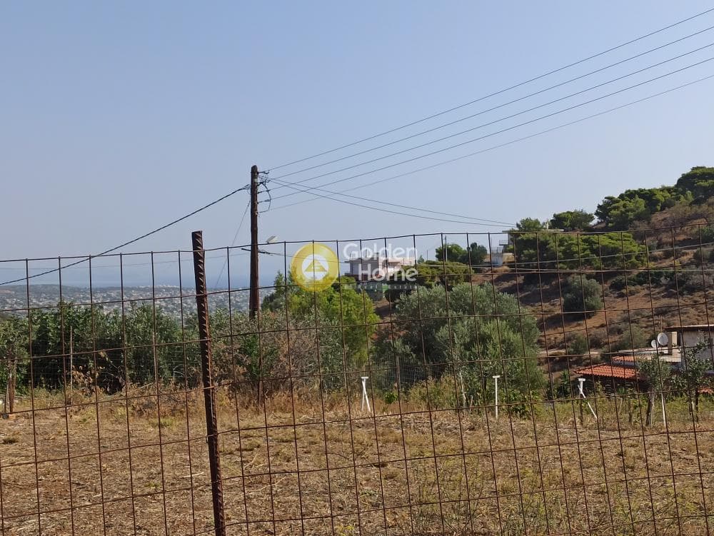 Αγροτεμάχιο στην Βορινέζα, Αρτέμιδα (Λούτσα) — Φωτογραφία 6 από 14