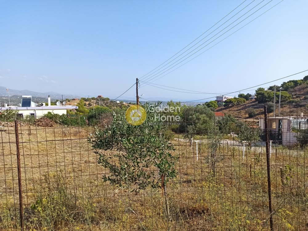 Αγροτεμάχιο στην Βορινέζα, Αρτέμιδα (Λούτσα) — Φωτογραφία 5 από 14