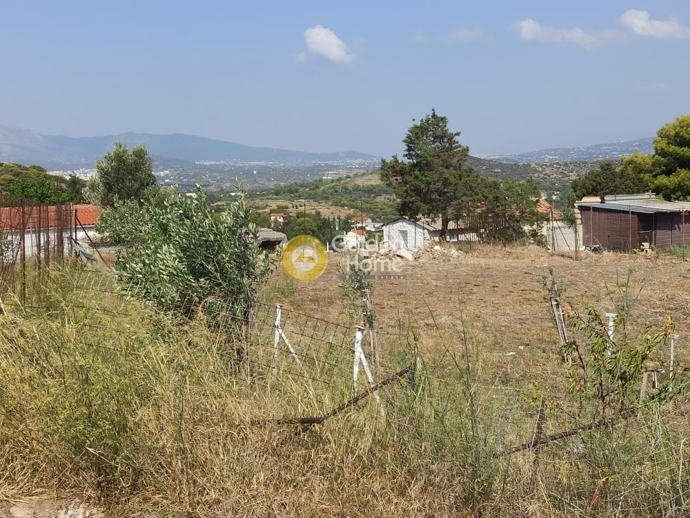 Αγροτεμάχιο στην Βορινέζα, Αρτέμιδα (Λούτσα) — Φωτογραφία 13 από 14