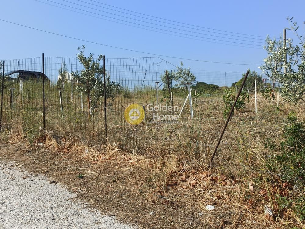 Αγροτεμάχιο στην Βορινέζα, Αρτέμιδα (Λούτσα) — Φωτογραφία 14 από 14