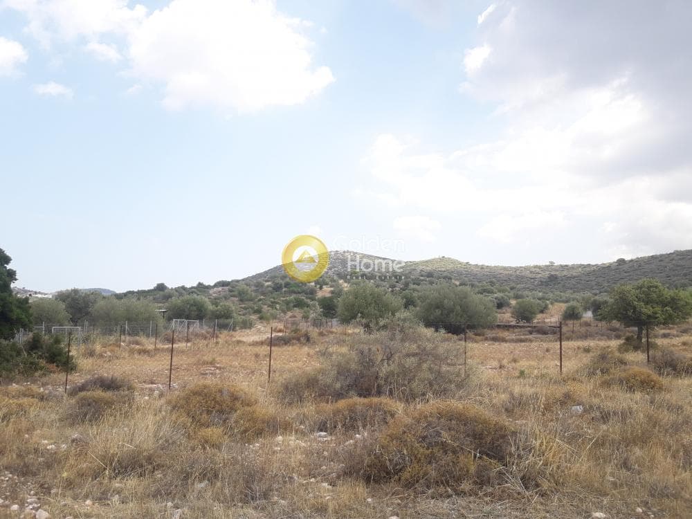 Αγροτεμάχιο στην Κέντρο, Καλύβια Θορικού — Φωτογραφία 2 από 3