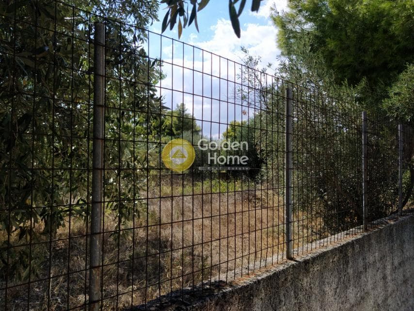 Αγροτεμάχιο στην Άγιος Σεραφείμ, Αρτέμιδα (Λούτσα) — Φωτογραφία 10 από 11