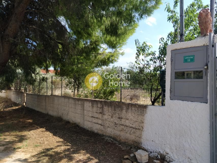 Αγροτεμάχιο στην Άγιος Σεραφείμ, Αρτέμιδα (Λούτσα) — Φωτογραφία 8 από 11