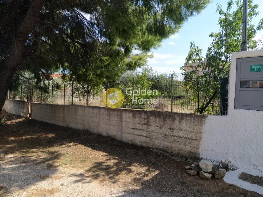 Αγροτεμάχιο στην Άγιος Σεραφείμ, Αρτέμιδα (Λούτσα) — Φωτογραφία 11 από 11