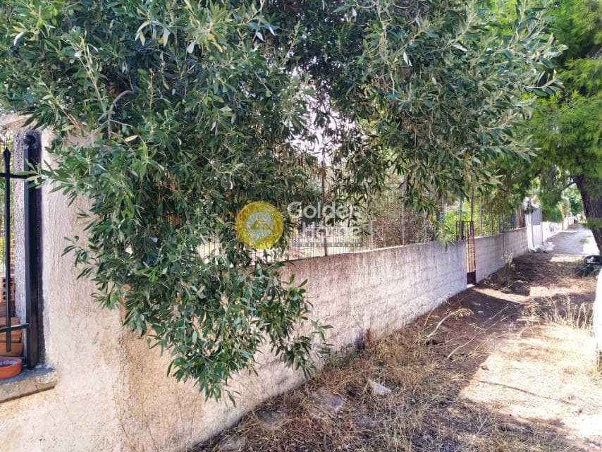 Αγροτεμάχιο στην Άγιος Σεραφείμ, Αρτέμιδα (Λούτσα) — Φωτογραφία 9 από 11