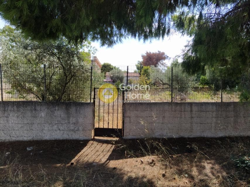 Αγροτεμάχιο στην Άγιος Σεραφείμ, Αρτέμιδα (Λούτσα) — Φωτογραφία 6 από 11