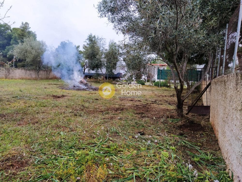 Αγροτεμάχιο στην Άγιος Σεραφείμ, Αρτέμιδα (Λούτσα) — Φωτογραφία 4 από 11