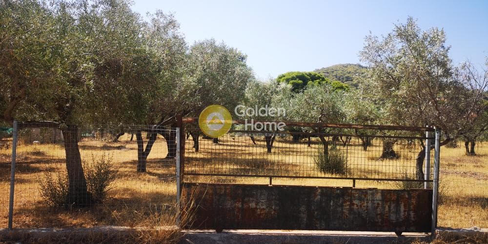 Αγροτεμάχιο στην Μαύρο Λιθάρι, Σαρωνίδα — Φωτογραφία 1 από 4